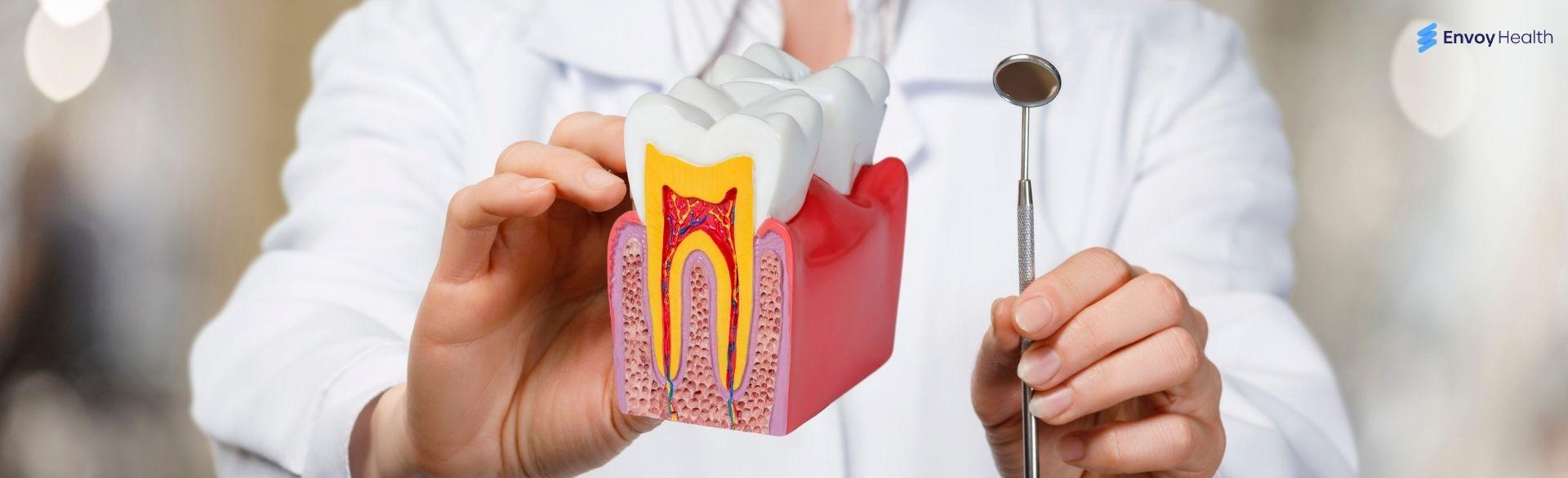 Understanding the Charges for Root Canal Treatment Understanding the Charges for Root Canal Treatment